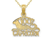 10K Yellow Gold 100% CAPRICORN Zodiac Charm Astrology Zodiac Pendant Necklace with Chain